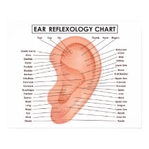 Poster Réflexologie de l'oreille 20" x 16", (Matte