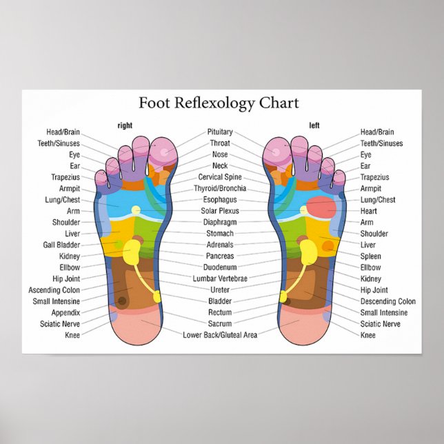 Poster Réflexologie des pieds 18 x 12 pouces (Devant)