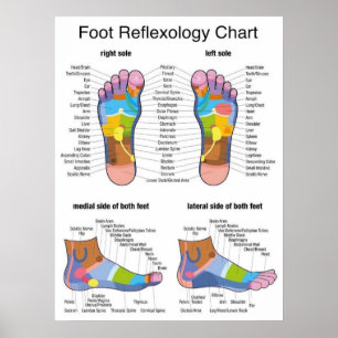 Poster Réflexologie des pieds 22 x 29 pouces