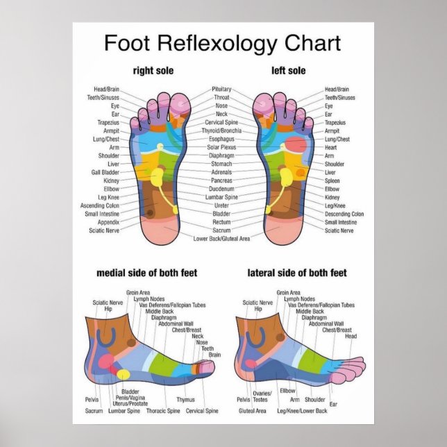 Poster Réflexologie des pieds 22 x 29 pouces (Devant)