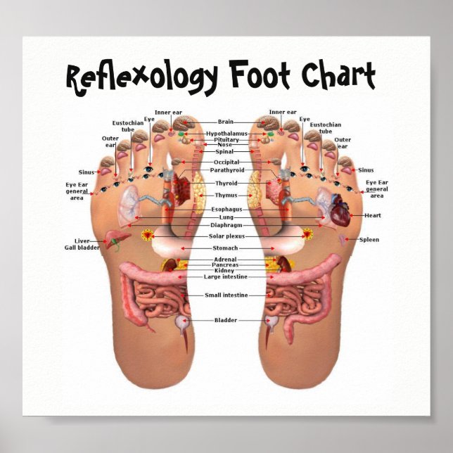 Poster réflexologie des pieds 8x7 pouces (Devant)