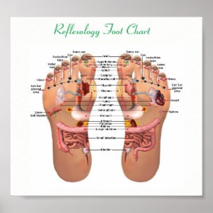 Poster réflexologie des pieds 8x7 pouces