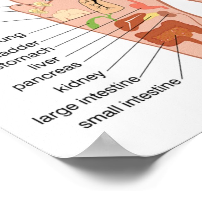 Poster Réflexologie du pied 12x10 pouces (Coin)
