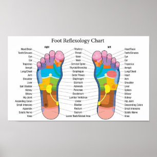 Poster Réflexologie du pied 15x9"