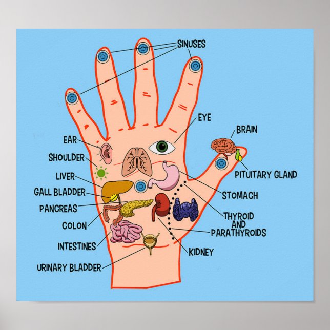 Poster Réflexologie manuelle 13 x 12 pouces (Devant)
