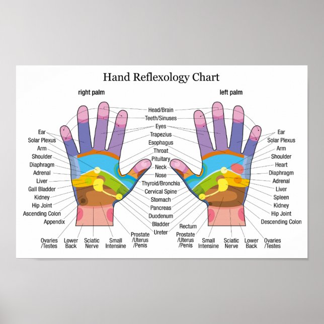 Poster Réflexologie manuelle 16x11" (Devant)