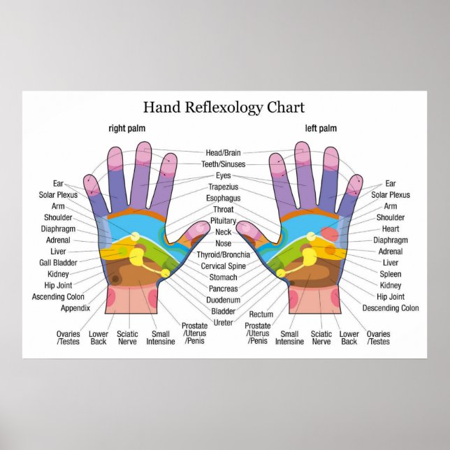 Poster Réflexologie manuelle 36x24 pouces (Devant)