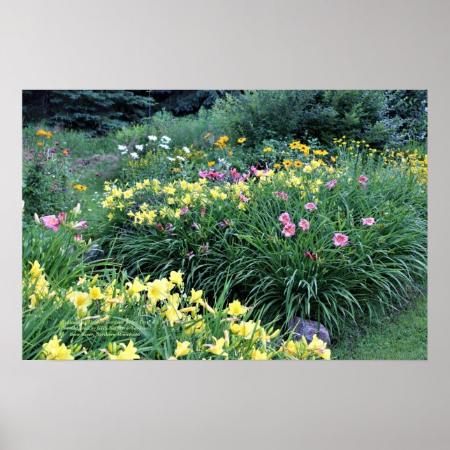 Poster Refloroming Daylily Gardens Rainy Day (Devant)