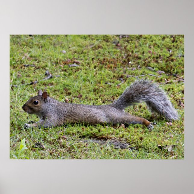 Poster Refroidissement (Devant)