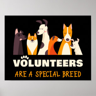 Poster Refuge pour chiens de sauvetage de race spéciale