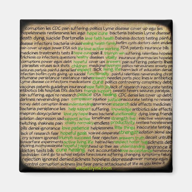 Poster Refus de la maladie de Lyme Magnet ignoré (Devant)