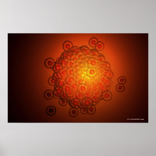 Poster Regard magnifié sur un ovule