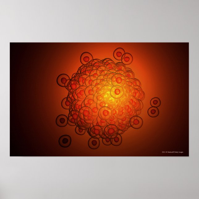 Poster Regard magnifié sur un ovule (Devant)