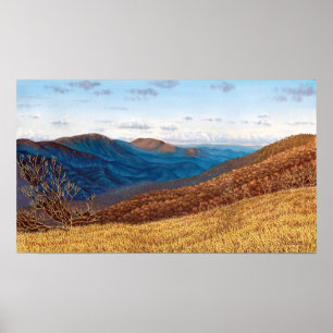 Poster Région sauvage moyenne de fourche