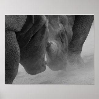 Poster Réglage des rhinocéros