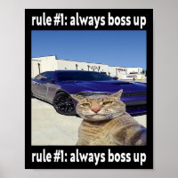 Règle # 1 Toujours Boss Up Funny Cat Meme