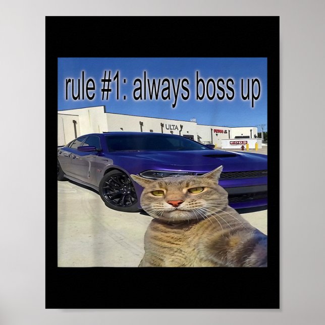 Poster Règle 1 Toujours Bosser Drôle Chat Drôle Étrangeme (Devant)