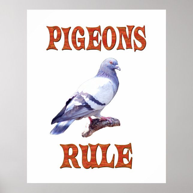 Poster Règle des pigeons (Devant)