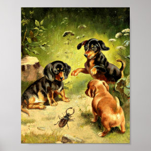 Poster Reichert - Chiots Dachshund en jeu