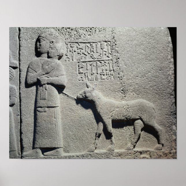Poster Reine Tuwarissa, épouse du roi Araras (Devant)