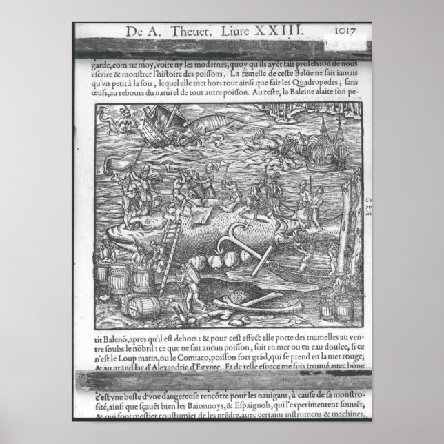 Poster Rejoindre une baleine (Devant)