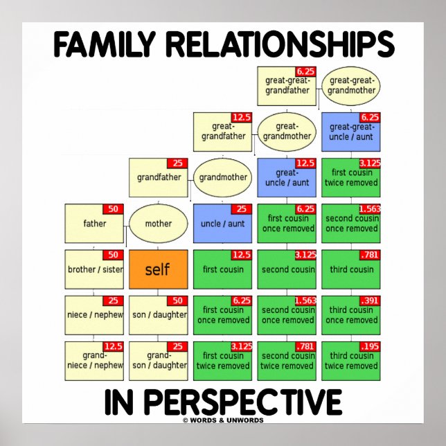 Poster Relations Familiales En Perspective (Réunion) (Devant)