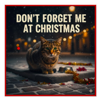 Poster Remember the poor cats at Christmas