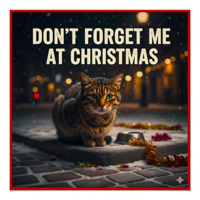 Poster Remember the poor cats at Christmas (Devant)