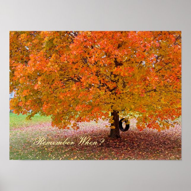 Poster Remember When? (Devant)