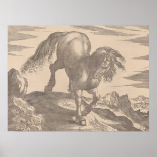 Poster Renaissance Horse Stallion Vintage sur Hill