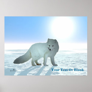Poster Renard arctique
