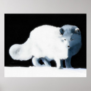 Poster Renard arctique
