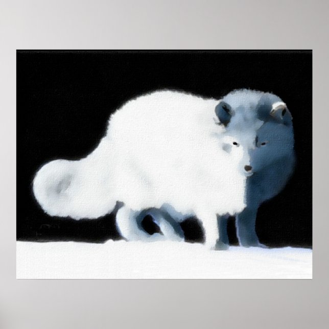 Poster Renard arctique (Devant)