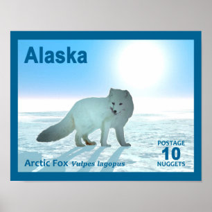 Poster Renard arctique - Alaska Postage