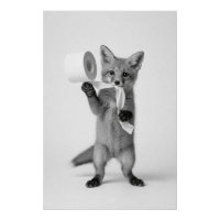 Renard drôle tenant du papier toilette, faune mini