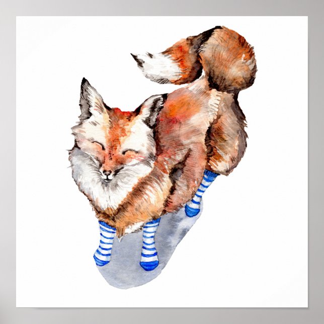 Poster Renard en Chaussettes (Devant)