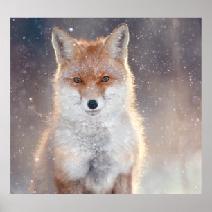 Poster Renard rouge, forêt d'hiver, illustration pittores