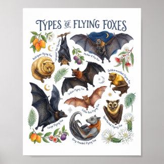 Poster Renards volants aquarelle Chauve-souris Art fauniq