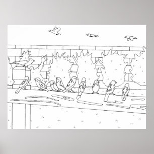 Poster Rencontre avec les oiseaux du Bruant sur le dessin