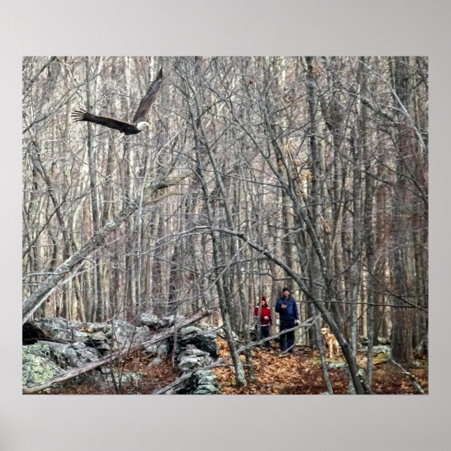 Poster Rencontre de l'aigle à tête blanche (Devant)
