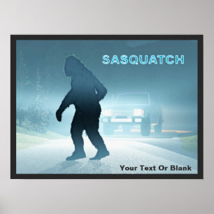 Poster Rencontre Sasquatch