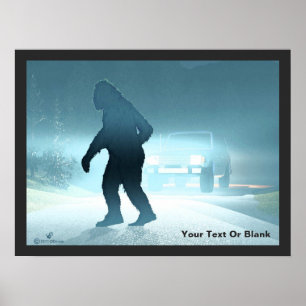 Poster Rencontre Sasquatch
