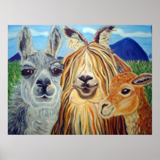 POSTER RENCONTRER LES LAMAS : LAMA, ALPACA, VICUNA ! ! !