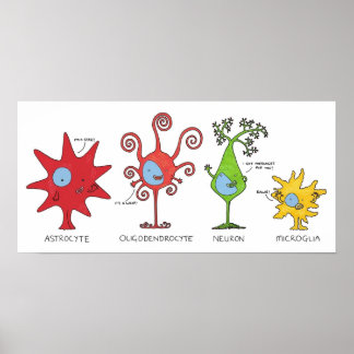 Poster Rencontrez vos cellules cérébrales LARGEMENT