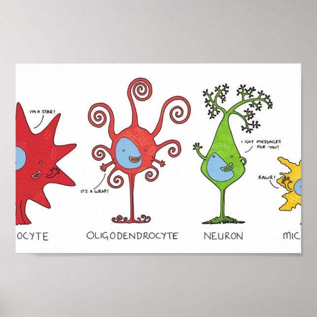 Poster Rencontrez vos cellules cérébrales LARGEMENT (Devant)