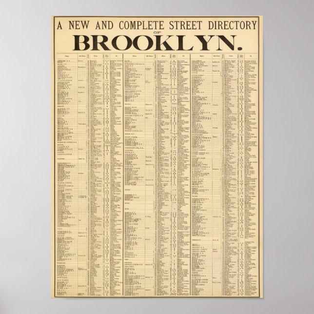 Poster Répertoire des rues de Brooklyn 1ère page (Devant)