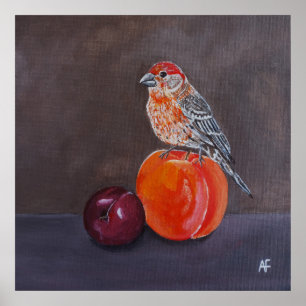 Poster Repos de midi du roselin familier, peinture d'Alfr