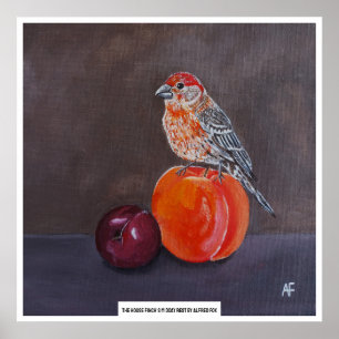 Poster Repos de midi du roselin familier, peinture d'Alfr
