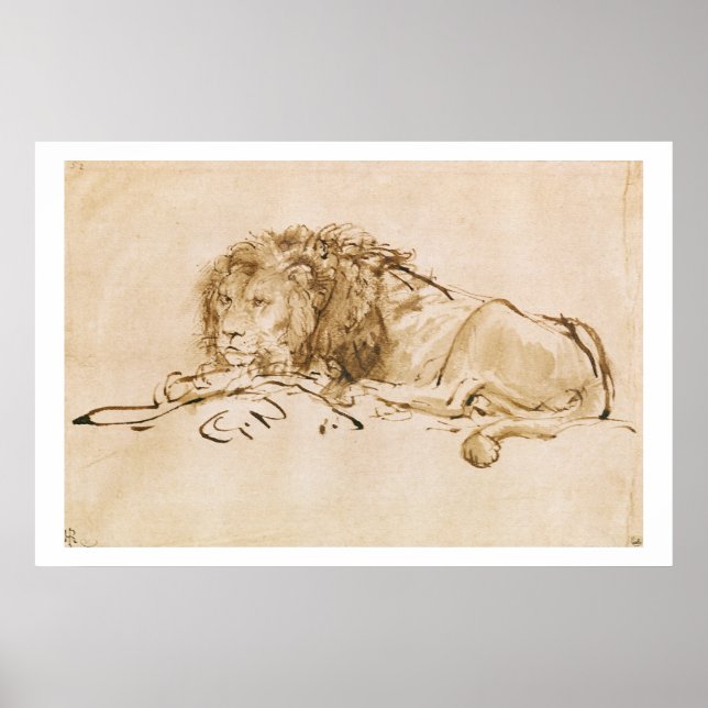 Poster Repose de lion (stylo et encre sur papier) (Devant)