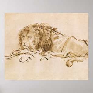 Poster Repose de lion (stylo et encre sur papier)